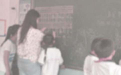 ֧�̻������ѡ(15ƪ)