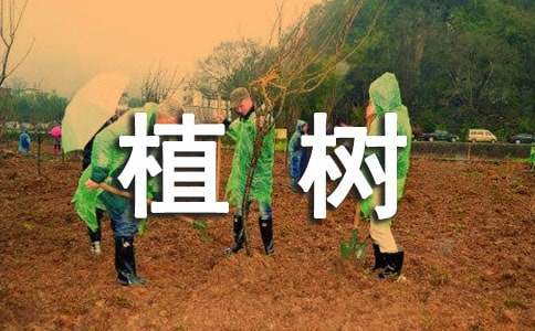 ������ֲ�������и�