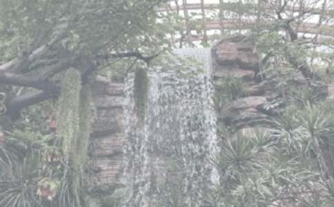 植物园观后感4篇