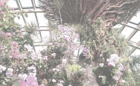 ֲ��԰�ۺ��15ƪ