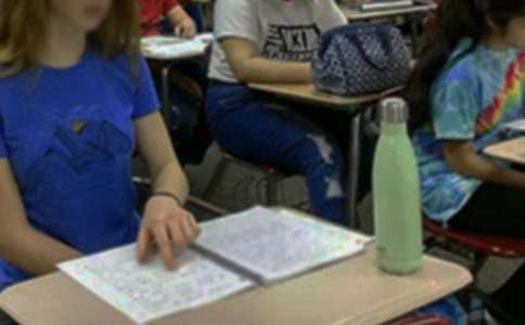 ���ڳ���ѧ���ܼ�ģ�弯��5ƪ