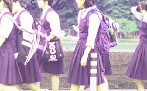 �����š���ѧ���ܼ�ģ�����5ƪ