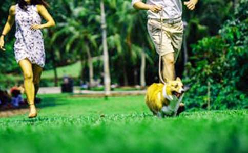 ��ĩ���ܼǣ�ͨ��72ƪ��