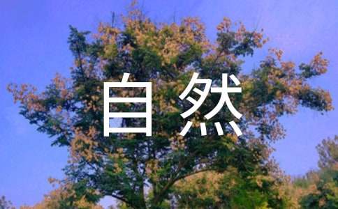 ����Ȼ�ĸ���