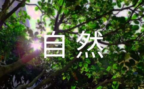 ���ڴ���Ȼ�����Խ̰�4ƪ