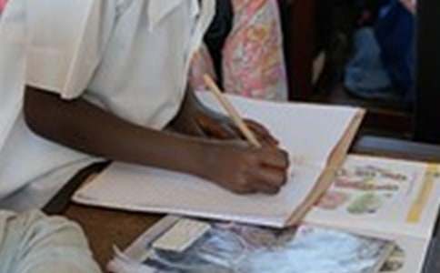 小学的作文300字(实用4篇)