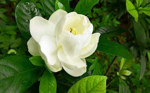 ���ӻ����꼶ѧ�������Ƽ�