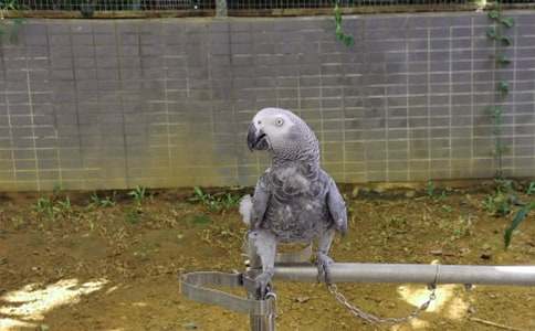 С����ϴ���ռ�