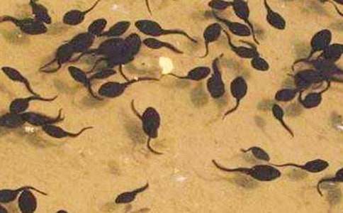 ��С��������衷�̰�15ƪ[�ϼ�]