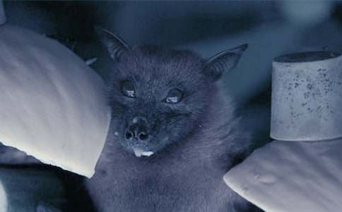 ��������״�̰�2ƪ