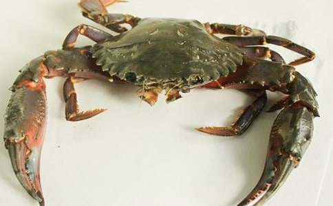 С�ࡶ�з���̰�