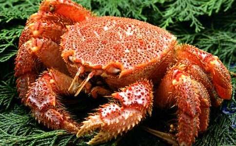 С�з���̰�