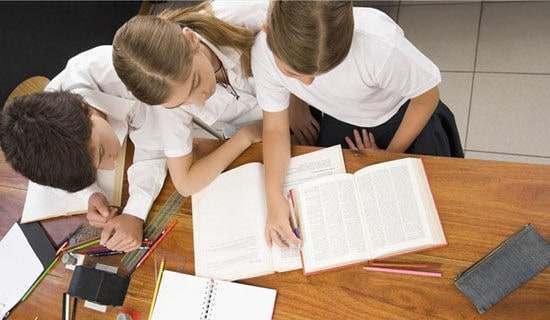 ѧϰ�ܽ�Сѧ����