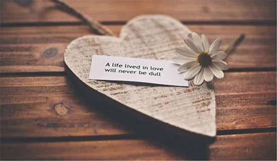 �͸����µİ���ף����