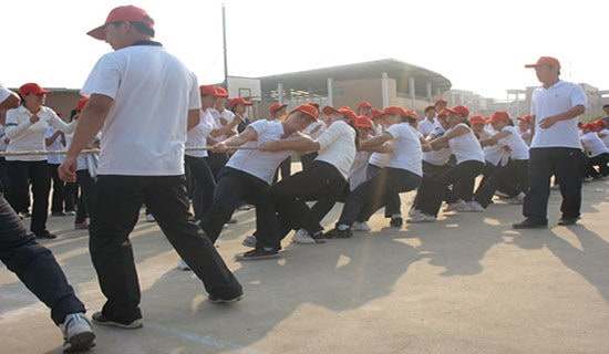 �κ�Сѧ����(����15ƪ)