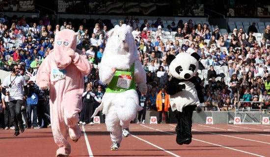 �׶�԰�˶������뺯