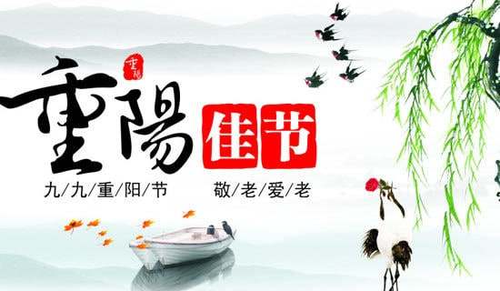 2022年重阳节活动策划方案(精选15篇)